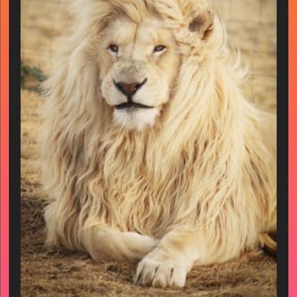 Meet your Posher, Jennifer - Picture 1 of 1